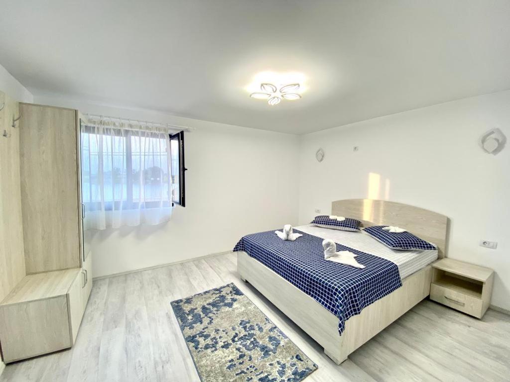 ホテル Casa Munteanu Mila Douăzeci şi Trei エクステリア 写真