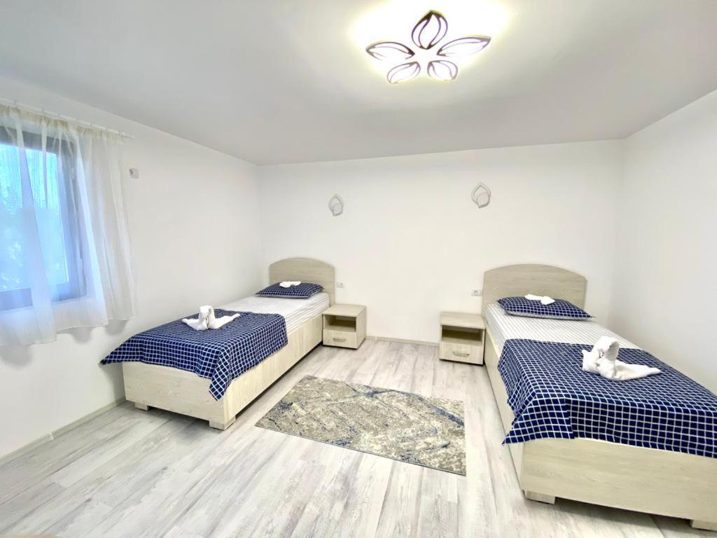 ホテル Casa Munteanu Mila Douăzeci şi Trei エクステリア 写真