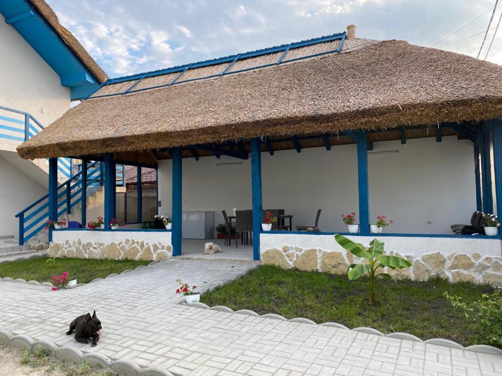 ホテル Casa Munteanu Mila Douăzeci şi Trei エクステリア 写真