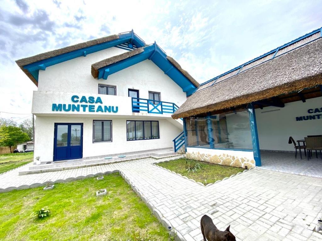 ホテル Casa Munteanu Mila Douăzeci şi Trei エクステリア 写真